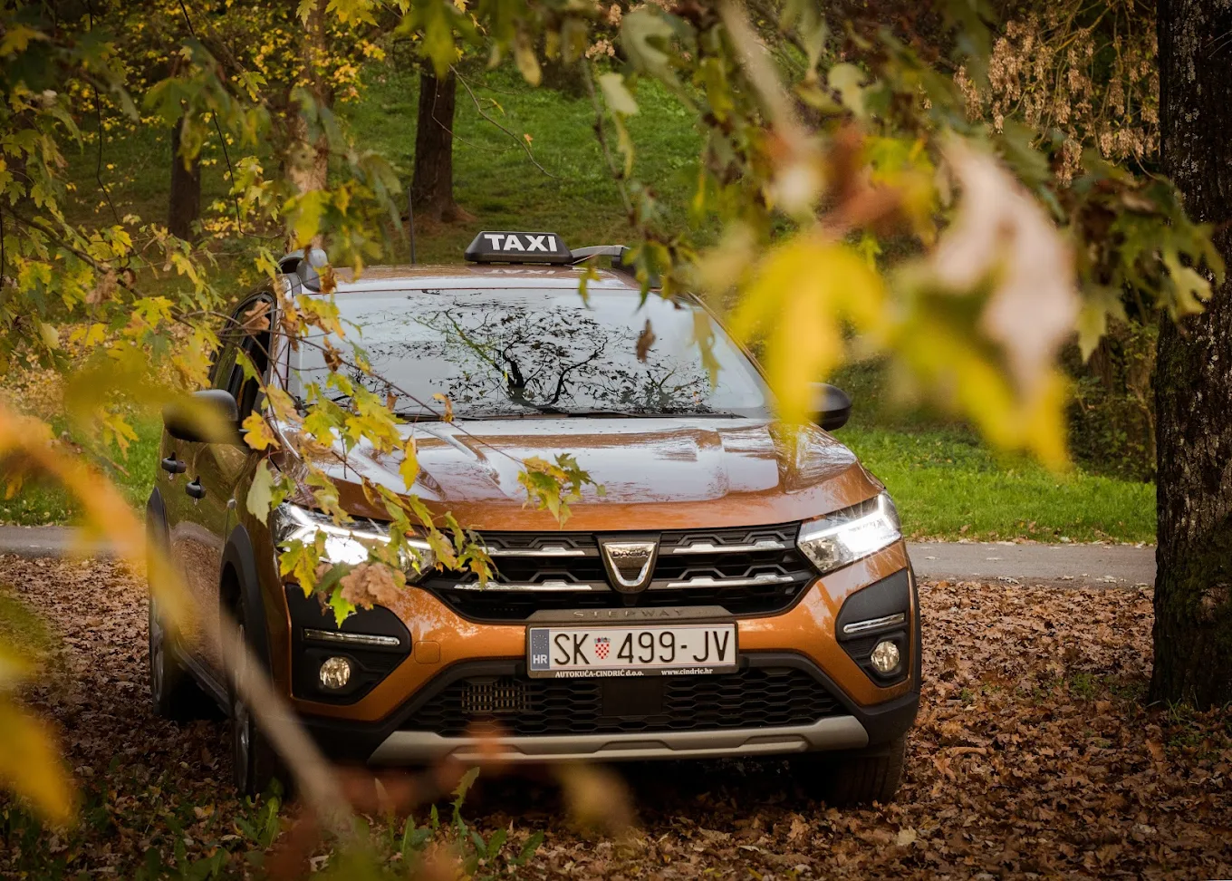 Taxi Sisak – FREDDIE, AUTOPRIJEVOZNIČKI OBRT, ANTONIO LULIĆ